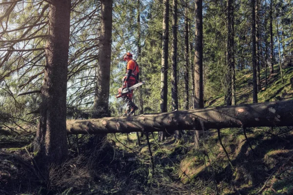 Husqvarna 572 XP G / 50 – X-Torq – Bild 6